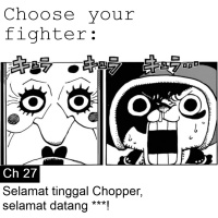 Chapter 27 : Selamat tinggal Chopper, Selamat datang ***!