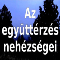 Szarul vagyok - avagy az együttérzés nehézségei | önismereti teszt és személyiségfejlesztés