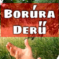 Hogyan legyek optimista? | Pozitív gondolkodás a gyakorlatban