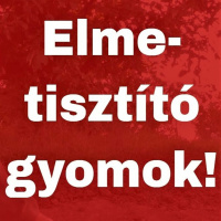 Lelki béke megteremtése - Titkos meditáció | Az elme tisztítása gyomokkal