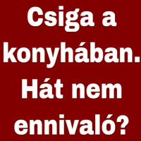 Spanyol brokkolis csiga | együttérzés és empátia | Nem csiga főzés!