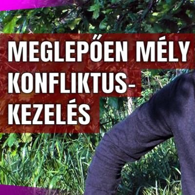 Manhertz József Podcast