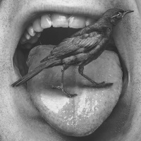 S07E14 Hízottagyú bálványkövetők