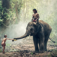 S07E23 Ész vs. Szív - Moralitásunk evolúciója