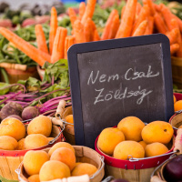 NCsZ026 - Kovász, edzés, adakozás