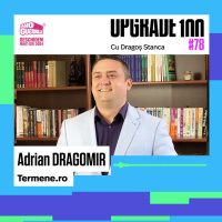 #78 DIGITALIZAREA DATELOR PUBLICE. Business intelligence Made in Romania cu Adrian Dragomir, TERMENE.ro 