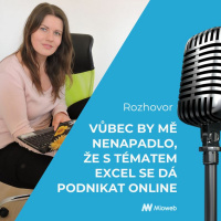 Vůbec by mě nenapadlo, že s tématem Excel se dá podnikat online