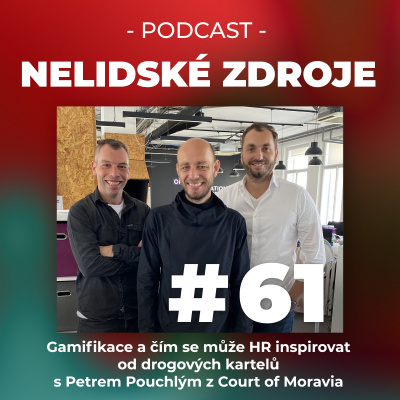 Nelidské Zdroje