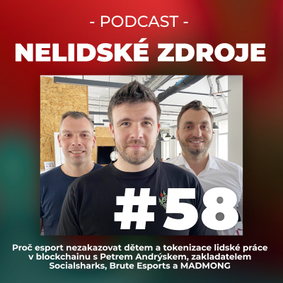 Nelidské Zdroje