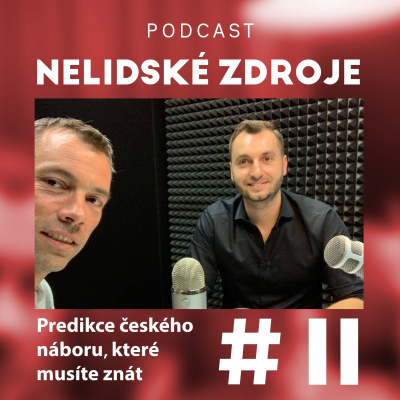 Nelidské Zdroje