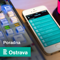 Dotace na zateplen#xED nebo na jin#xE9 energetick#xE9 #xFAspory