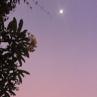 Eps.3 (#ART) - Bincang Musik (Opini Personal)