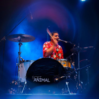 Punggung Panggung: Bayu Adisapoetra (Elephant Kind, SoftAnimal)