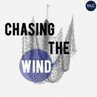 Chasing The Wind - Reza Aryabima