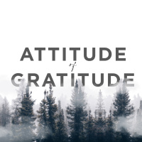 Train Yourself to be Grateful - Ferry Felani