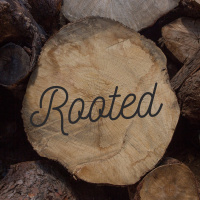 Rooted pt. 2