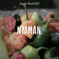 Nyaman, Tanaman amp Ikan | Lunatic Podcast S4E09