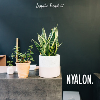 Awkward, Ketulangan amp Nyalon. | Lunatic Podcast 02