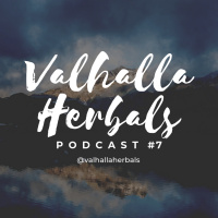 Rasa Sakit Itu Sementara Menjadi Pengecut yang Menyerah Itu Selamanya (Valhalla Herbals Podcast #7)