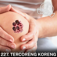 227. Tercoreng Koreng