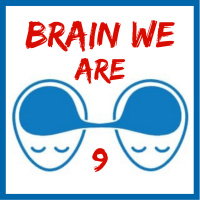 9: Opičí Mysl a Meditace