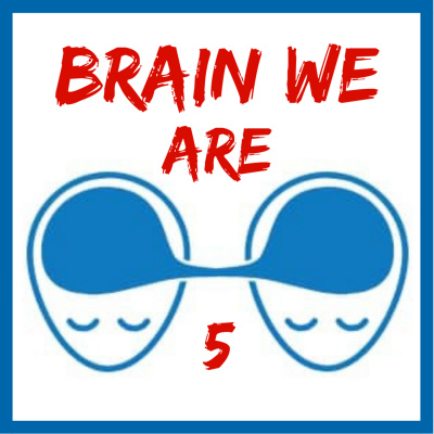 Brain We Are Cz