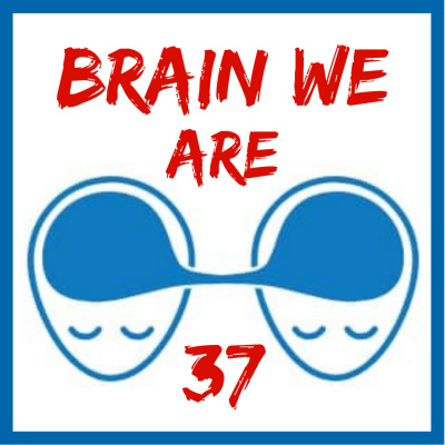 Brain We Are Cz