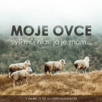 22|03|13 | Václav Kadlec | Moje ovce slyší můj hlas, já je znám