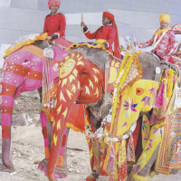 20. marquee bodo amat