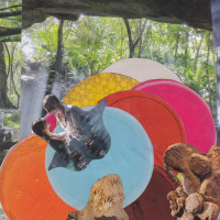 21. Bertahan a la Onoda