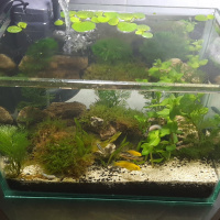 S03E15 - tentang merasa produktif