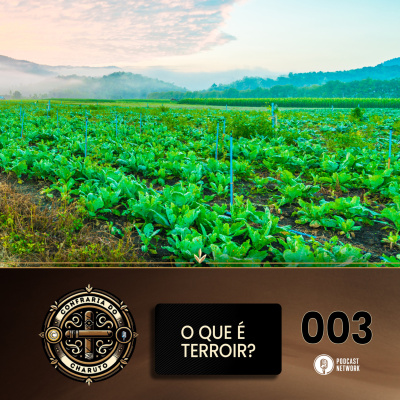 Rádiofobia Podcast Network