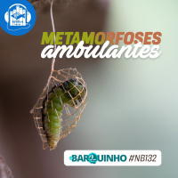 #NB132 – Metamorfoses Ambulantes