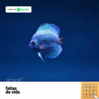 [mauroamaral.com] Penso#7 - Fatias de vida