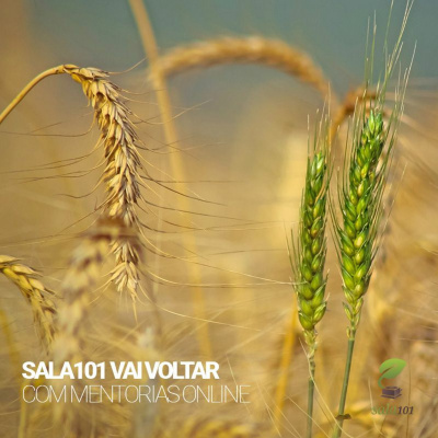 Falafreela - Carreirasolo.org