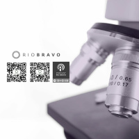 Podcast 531 – Celina Turchi – O estado da arte da pesquisa científica