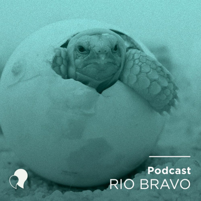 Podcast Rio Bravo