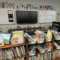 The economics lessons in kids books