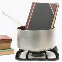 What happens when governments cook the books