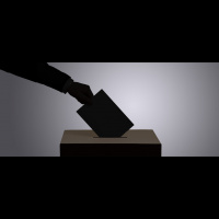 Do Long Waiting Times for Voting Put Democracy on the Line?