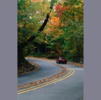 The Evolution of B2B: Lessons From the Auto Industry