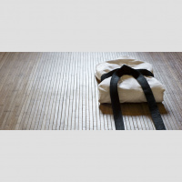 Fight to Win: How a Judo Champion Built Resilience