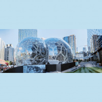 Amazon’s HQ2 Decision: Are the Winners Ready for Prime Time?