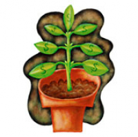 An Ideal Marketplace: For-profit Businesses Helping Not Exploiting the Poor