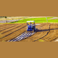 Good ‘Food Citizens’: Why Collaboration Is Key to Feeding the World