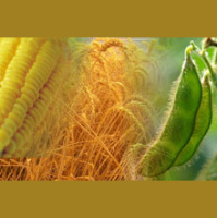 The Inventory Code: New Ways Investors Can Cash In on Volatile Commodities