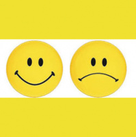 Managing Emotions in the Workplace: Do Positive and Negative Attitudes Drive Performance?