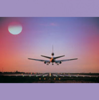 The Lowdown on Customer Loyalty Programs: Which Are the Most Effective and Why