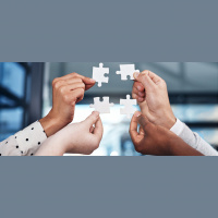 Leading Diversity: How Firms Can Walk the Talk