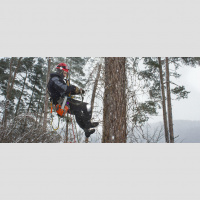 It’s a Dangerous Job – but Does Someone Have to Do It?